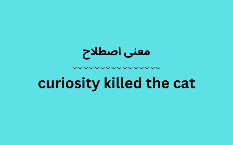 معنی Curiosity Killed The Cat چیست؟ زبانشناس 2285