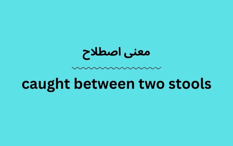 معنی caught between two stools چیست؟ زبانشناس