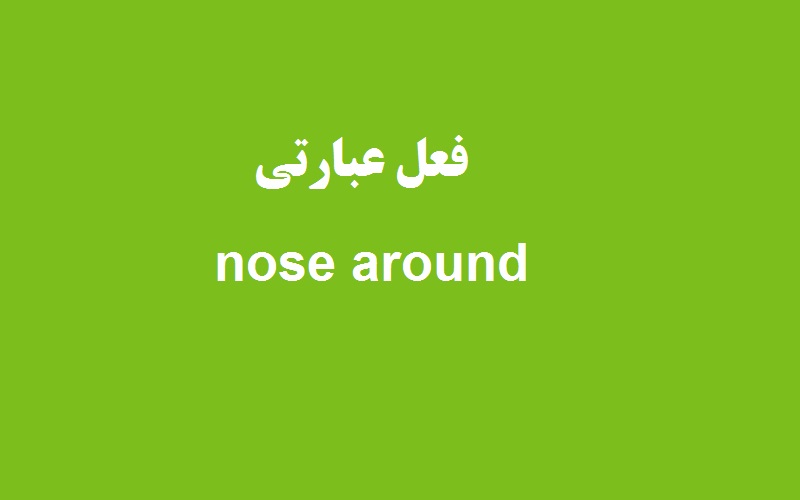 کاربرد و معنی nose around چیست؟ زبانشناس