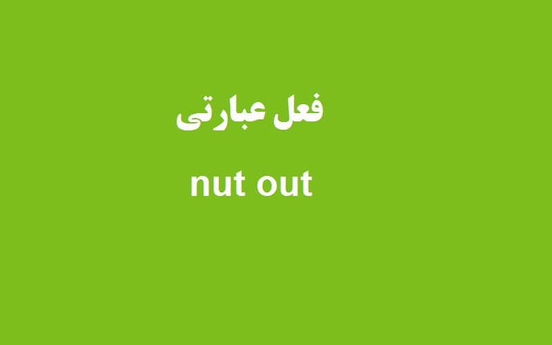کاربرد و معنی nut out چیست؟ زبانشناس